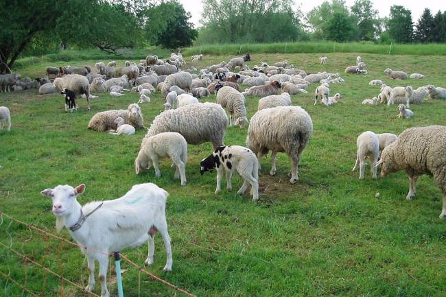 Zonguldak'da 19 Köyde Karantina Uygulanmaya Başladı