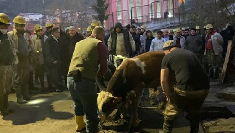 Üzülmez'de Yeni Pano Kurban Ve Dualarla Açıldı