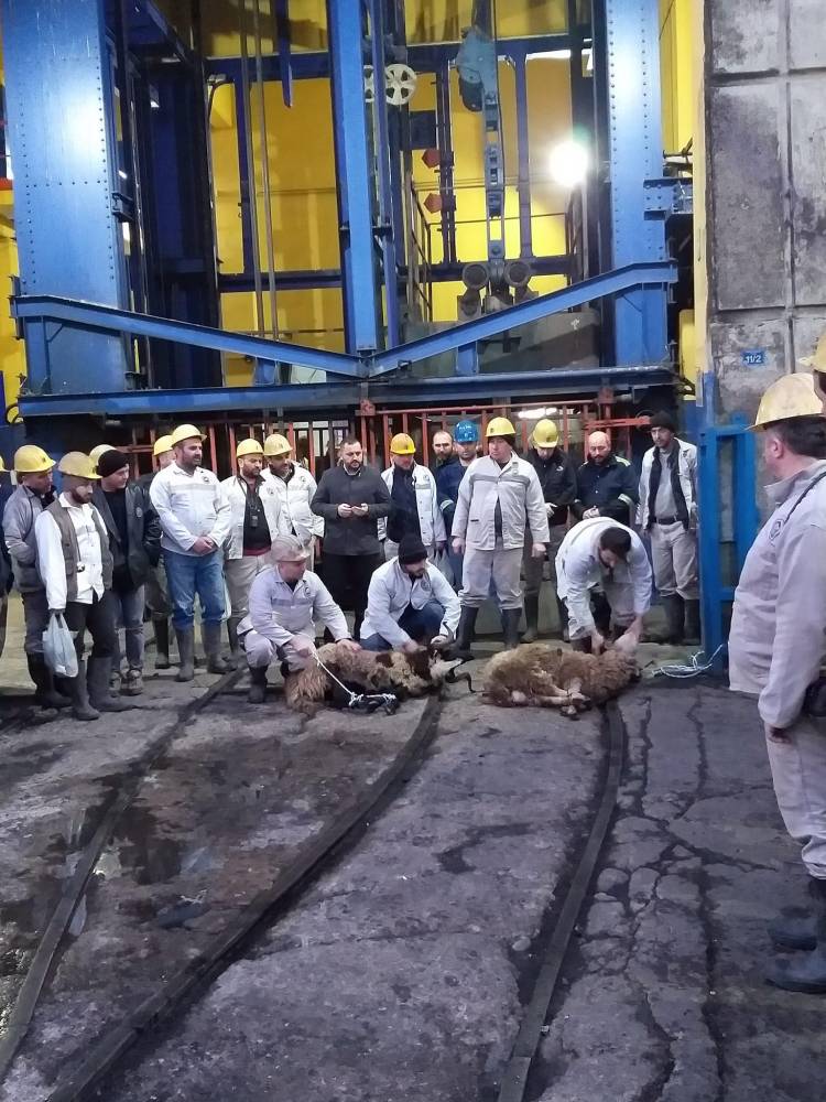 Armutçuk'ta Yeni Üretim Panosu Açıldı